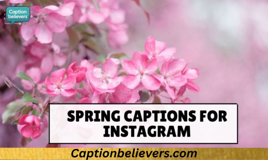 Swing Into Spring: Seasonal Captions For Instagram 🌸