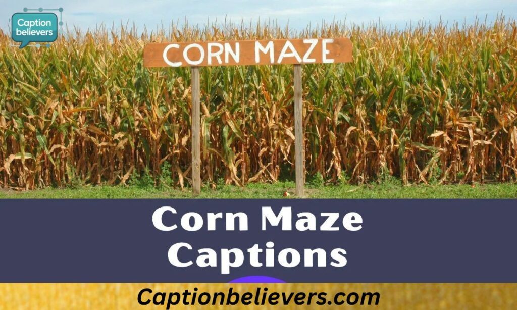 Corn Maze Captions For Instagram 