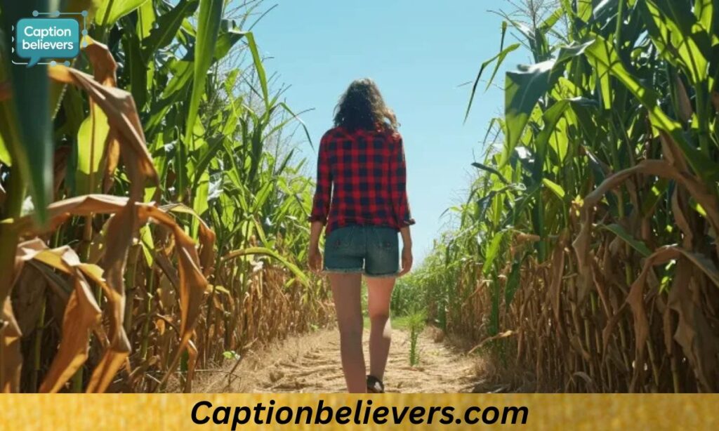 Rustic Corn Field Captions for Nature Lovers